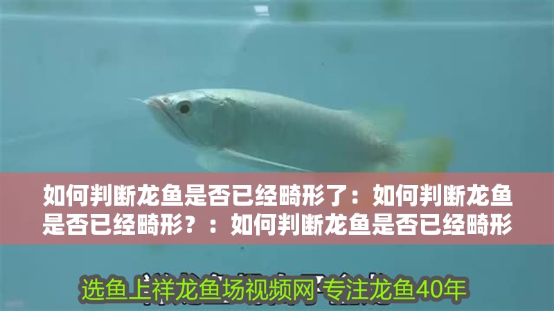 如何判斷龍魚是否已經畸形了：如何判斷龍魚是否已經畸形？：如何判斷龍魚是否已經畸形