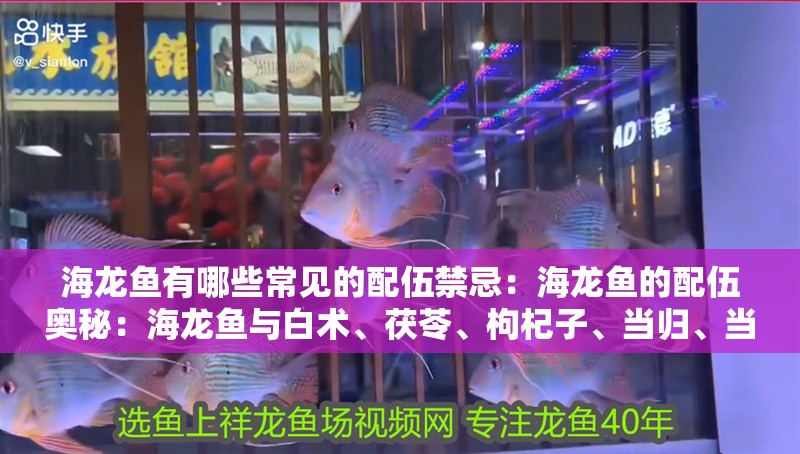 海龍魚有哪些常見的配伍禁忌：海龍魚的配伍奧秘：海龍魚與白術(shù)、茯苓、枸杞子、當(dāng)歸、當(dāng)歸的搭配