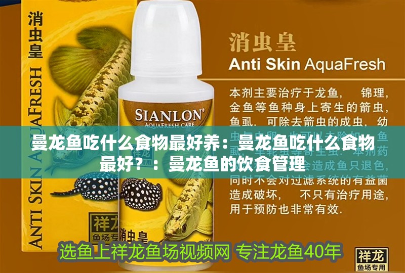 曼龍魚吃什么食物最好養：曼龍魚吃什么食物最好？：曼龍魚的飲食管理