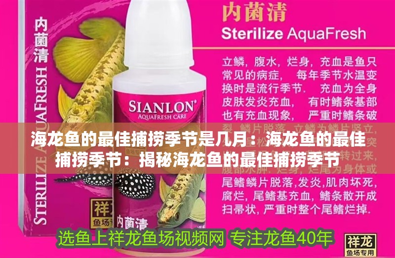 海龍魚的最佳捕撈季節是幾月：海龍魚的最佳捕撈季節：揭秘海龍魚的最佳捕撈季節