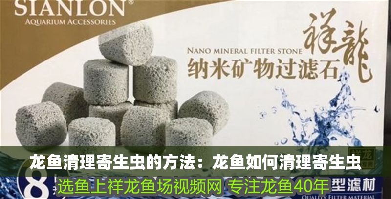 龍魚清理寄生蟲的方法：龍魚如何清理寄生蟲