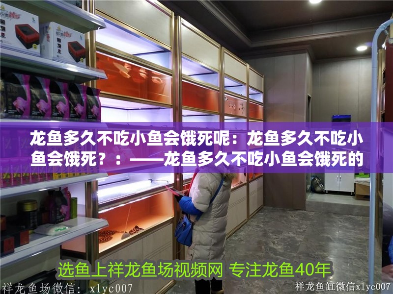 龍魚多久不吃小魚會餓死呢：龍魚多久不吃小魚會餓死？：——龍魚多久不吃小魚會餓死的問題