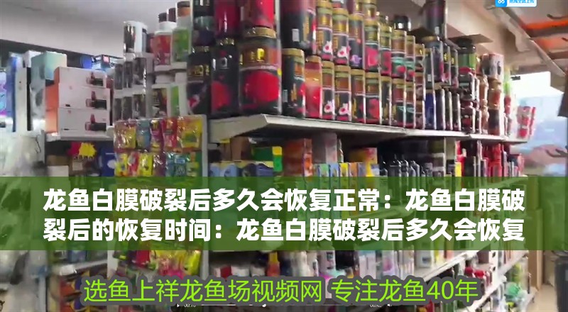 龍魚白膜破裂后多久會恢復(fù)正常：龍魚白膜破裂后的恢復(fù)時間：龍魚白膜破裂后多久會恢復(fù)正常