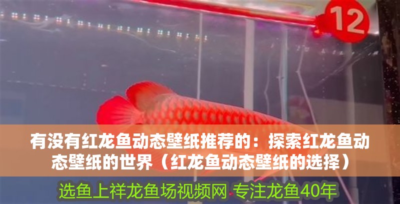 魚缸用增氧泵價格是多少:魚缸增氧機-xtrac增氧機-xtrac增氧機 有沒有紅龍魚動態壁紙推薦的:探索紅龍魚動態壁紙的世界(紅龍魚動態壁紙的選擇) 水族問答 有沒有紅龍魚動態壁紙推薦的:探索紅龍魚動態壁紙的世界(紅龍魚動態壁紙的選擇) 有沒有紅龍魚動態壁紙推薦的:探索紅龍魚動態壁紙的世界(紅龍魚動態壁紙的選擇) 水族問答