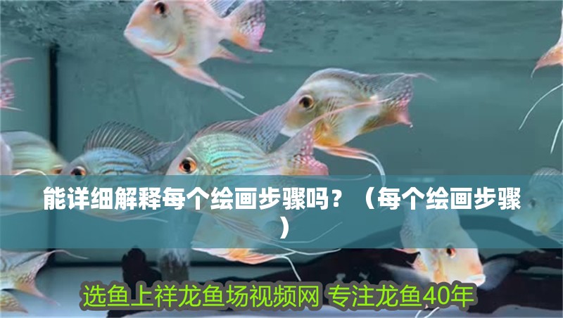 能詳細解釋每個繪畫步驟嗎？（每個繪畫步驟）