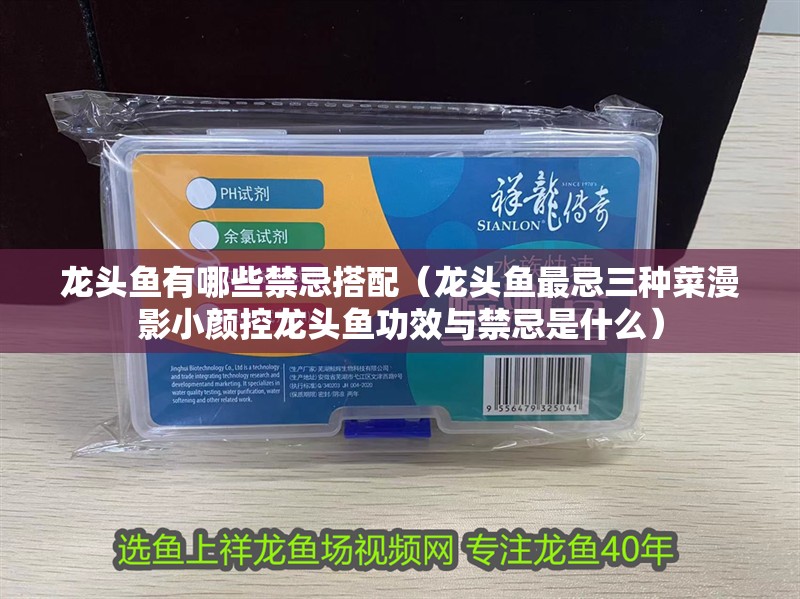 龍頭魚有哪些禁忌搭配（龍頭魚最忌三種菜漫影小顏控龍頭魚功效與禁忌是什么） 龍頭魚有哪些禁忌搭配（龍頭魚最忌三種菜漫影小顏控龍頭魚功效與禁忌是什么） 龍魚百科
