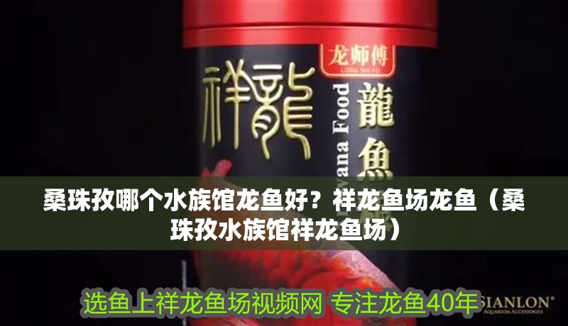 魚缸用增氧泵價(jià)格是多少:魚缸增氧機(jī)-xtrac增氧機(jī)-xtrac增氧機(jī) 桑珠孜哪個(gè)水族館龍魚好?祥龍魚場龍魚(桑珠孜水族館祥龍魚場) 龍魚百科 桑珠孜哪個(gè)水族館龍魚好?祥龍魚場龍魚(桑珠孜水族館祥龍魚場) 桑珠孜哪個(gè)水族館龍魚好?祥龍魚場龍魚(桑珠孜水族館祥龍魚場) 龍魚百科