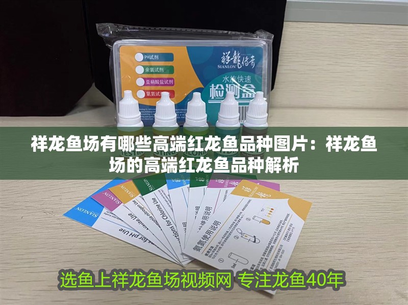 祥龍魚場有哪些高端紅龍魚品種圖片：祥龍魚場的高端紅龍魚品種解析
