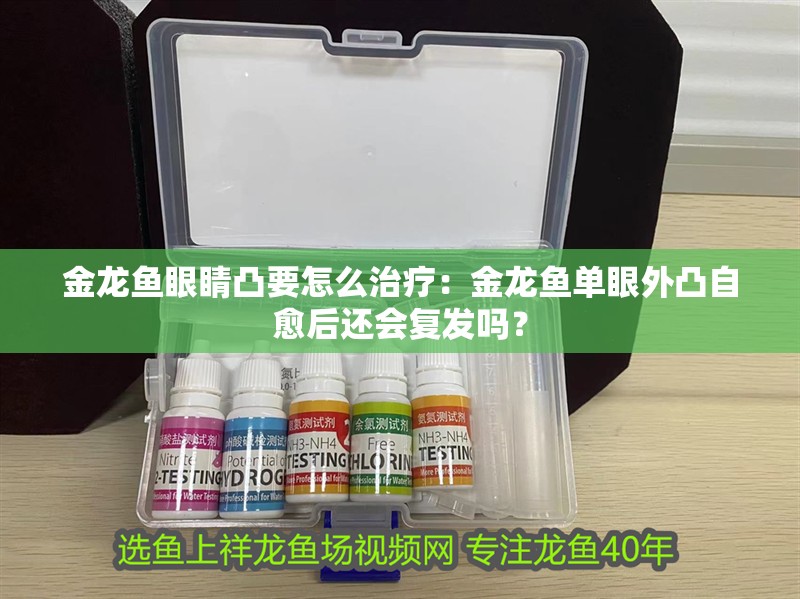 金龍魚眼睛凸要怎么治療：金龍魚單眼外凸自愈后還會(huì)復(fù)發(fā)嗎？