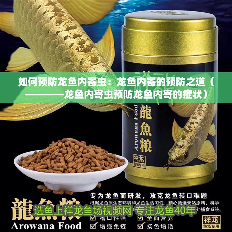 如何預防龍魚內寄蟲：龍魚內寄的預防之道（————龍魚內寄蟲預防龍魚內寄的癥狀）