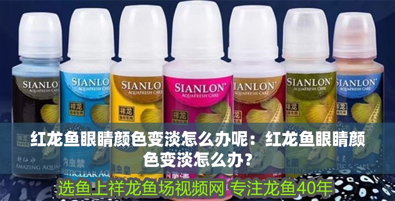 紅龍魚眼睛顏色變淡怎么辦呢：紅龍魚眼睛顏色變淡怎么辦？