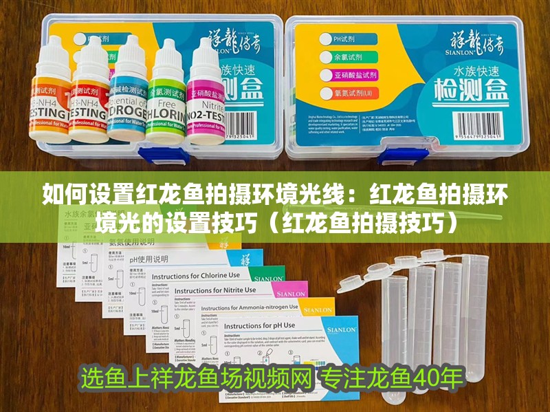 如何設置紅龍魚拍攝環境光線：紅龍魚拍攝環境光的設置技巧（紅龍魚拍攝技巧）