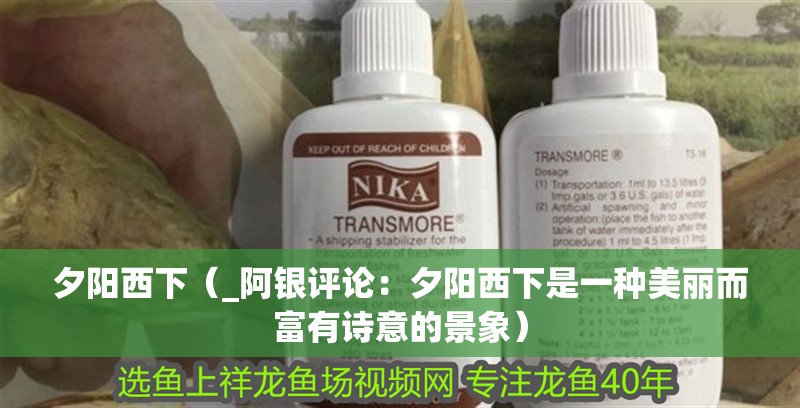 夕陽西下（_阿銀評論：夕陽西下是一種美麗而富有詩意的景象）