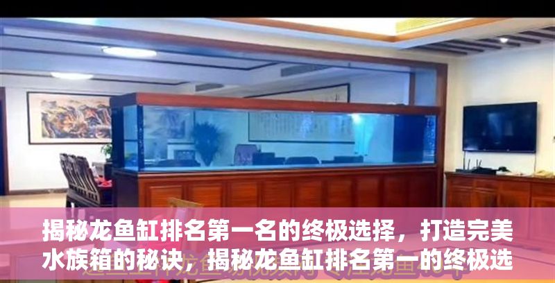 揭秘龍魚缸排名第一名的終極選擇，打造完美水族箱的秘訣，揭秘龍魚缸排名第一的終極選擇，完美水族箱打造全攻略