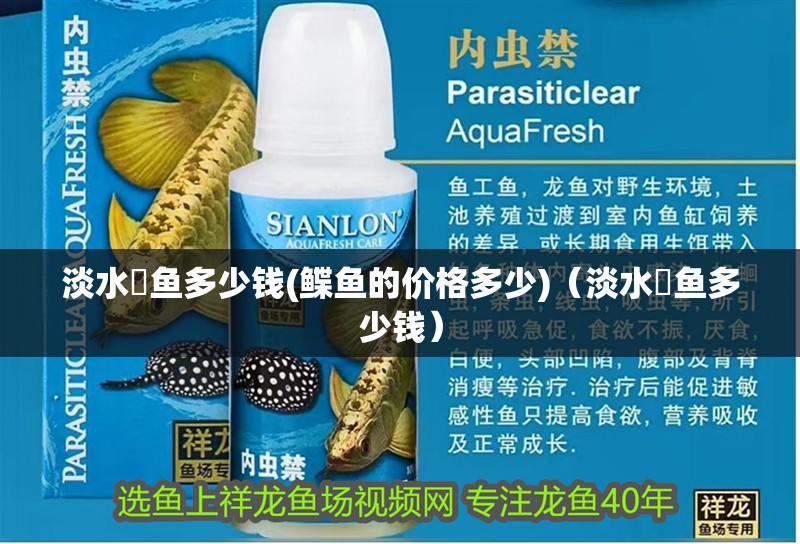 淡水魟魚多少錢(鰈魚的價格多少)（淡水魟魚多少錢） 淡水魟魚多少錢(鰈魚的價格多少)（淡水魟魚多少錢） 觀賞魚百科