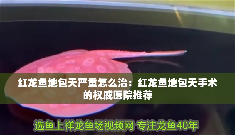 紅龍魚地包天嚴重怎么治：紅龍魚地包天手術的權威醫院推薦