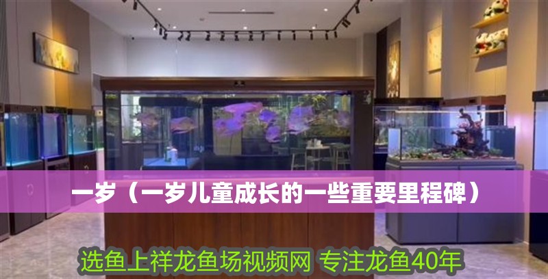 一歲（一歲兒童成長的一些重要里程碑）