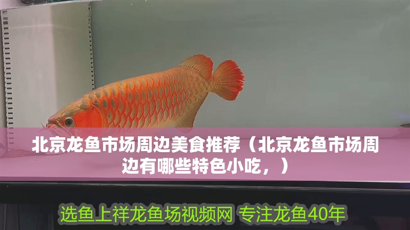 <strong><mark>北京</mark></strong>龍魚市場周邊美食推薦（<strong><mark>北京</mark></strong>龍魚市場周邊有哪些特色小吃，）
