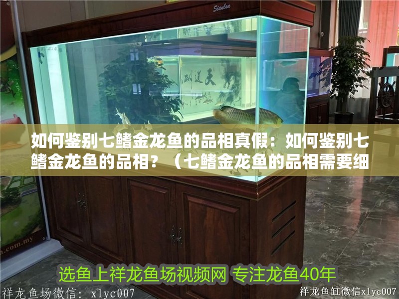 如何鑒別七鰭金龍魚的品相真假：如何鑒別七鰭金龍魚的品相？（七鰭金龍魚的品相需要細(xì)致觀察和經(jīng)驗(yàn)積累的飲食習(xí)慣）