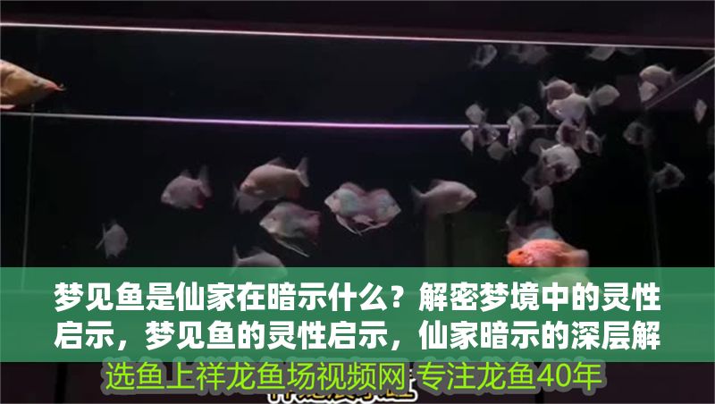 夢見魚是仙家在暗示什么？解密夢境中的靈性啟示，夢見魚的靈性啟示，仙家暗示的深層解讀