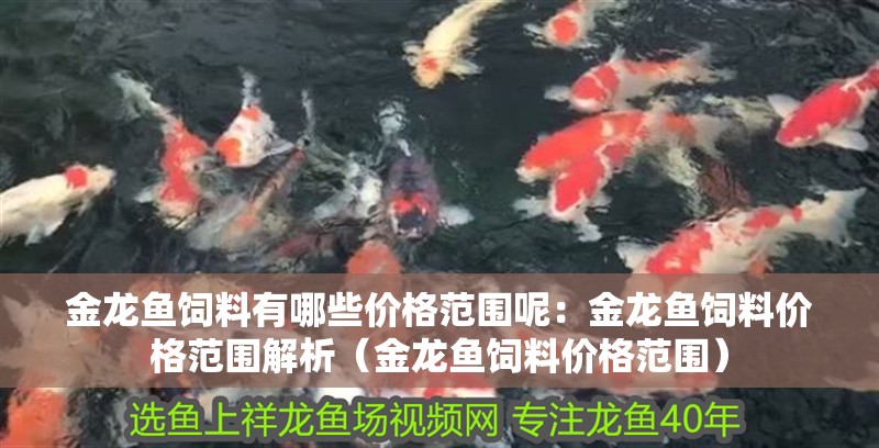 金龍魚飼料有哪些價格范圍呢：金龍魚飼料價格范圍解析（金龍魚飼料價格范圍）