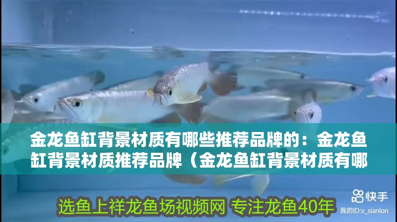 金龍魚缸背景材質有哪些推薦品牌的：金龍魚缸背景材質推薦品牌（金龍魚缸背景材質有哪些？）
