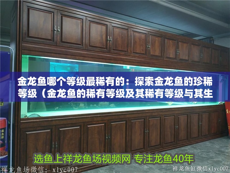 金龍魚哪個等級最稀有的：探索金龍魚的珍稀等級（金龍魚的稀有等級及其稀有等級與其生物學特性密切相關）