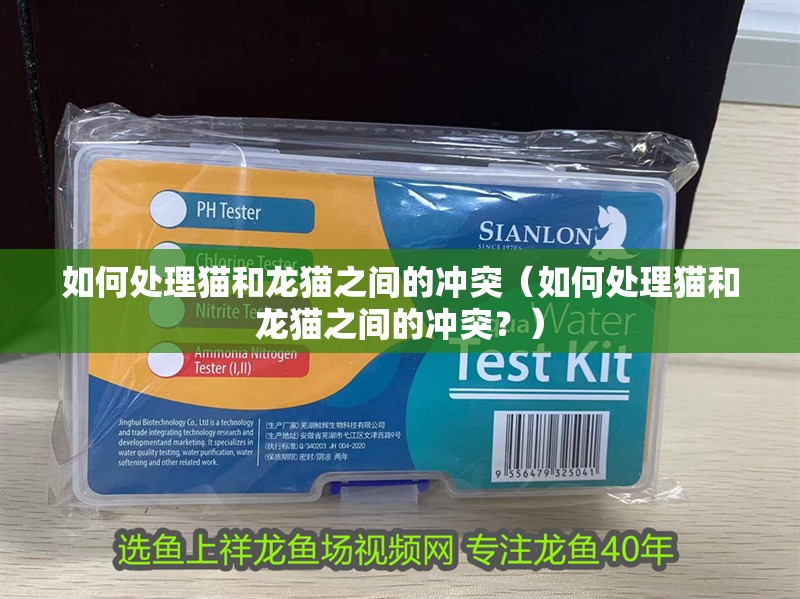如何處理貓和龍貓之間的沖突（如何處理貓和龍貓之間的沖突？）