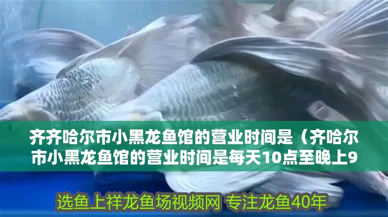 齊齊哈爾市小黑龍魚館的營業時間是（齊哈爾市小黑龍魚館的營業時間是每天10點至晚上9點） 齊齊哈爾市小黑龍魚館的營業時間是（齊哈爾市小黑龍魚館的營業時間是每天10點至晚上9點） 龍魚百科