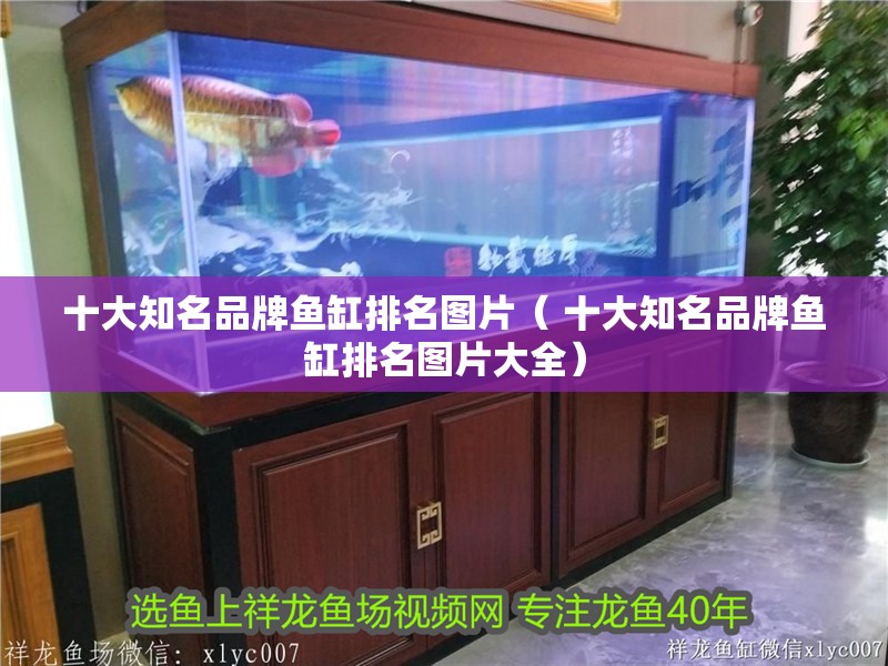 十大知名品牌魚缸排名圖片（ 十大知名品牌魚缸排名圖片大全）