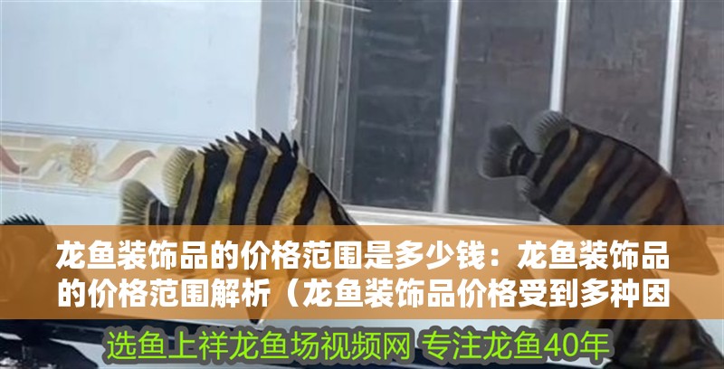 龍魚裝飾品的價格范圍是多少錢：龍魚裝飾品的價格范圍解析（龍魚裝飾品價格受到多種因素影響龍魚裝飾品價格受到多種因素影響） 龍魚裝飾品的價格范圍是多少錢：龍魚裝飾品的價格范圍解析（龍魚裝飾品價格受到多種因素影響龍魚裝飾品價格受到多種因素影響） 水族問答