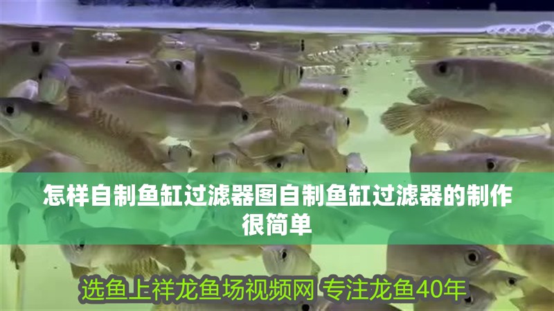 怎樣自制魚缸過濾器圖自制魚缸過濾器的制作很簡單