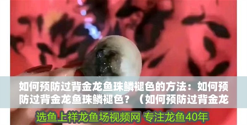 如何預防過背金龍魚珠鱗褪色的方法：如何預防過背金龍魚珠鱗褪色？（如何預防過背金龍魚珠鱗褪色） 如何預防過背金龍魚珠鱗褪色的方法：如何預防過背金龍魚珠鱗褪色？（如何預防過背金龍魚珠鱗褪色） 水族問答