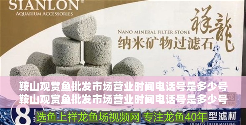 鞍山觀賞魚批發市場營業時間電話號是多少號鞍山觀賞魚批發市場營業時間電話號是多少號