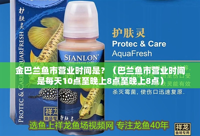 金巴蘭魚市營業時間是？（巴蘭魚市營業時間是每天10點至晚上8點至晚上8點）