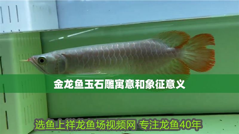 金龍魚玉石雕寓意和象征意義 金龍魚玉石雕寓意和象征意義 龍魚百科 第2張