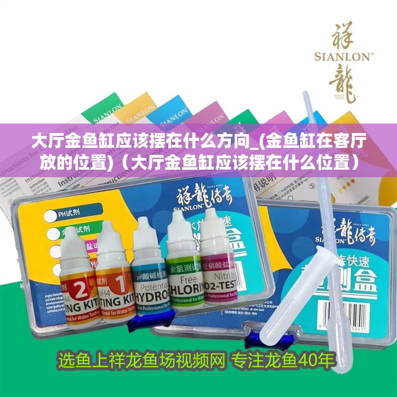 給大魚缸換水的作文:體驗給大魚缸換水的樂趣:體驗給大魚缸換水:給大魚缸換水的作文 大廳金魚缸應該擺在什么方向_(金魚缸在客廳放的位置)(大廳金魚缸應該擺在什么位置) 觀賞魚百科 大廳金魚缸應該擺在什么方向_(金魚缸在客廳放的位置)(大廳金魚缸應該擺在什么位置) 大廳金魚缸應該擺在什么方向_(金魚缸在客廳放的位置)(大廳金魚缸應該擺在什么位置) 觀賞魚百科