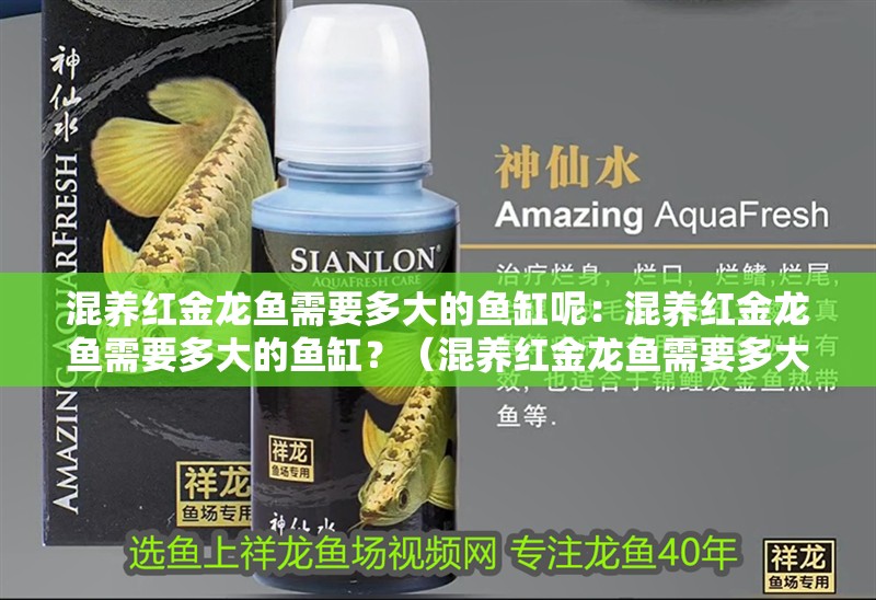 混養紅金龍魚需要多大的魚缸呢：混養紅金龍魚需要多大的魚缸？（混養紅金龍魚需要多大的魚缸大小和紅金龍魚的選擇）