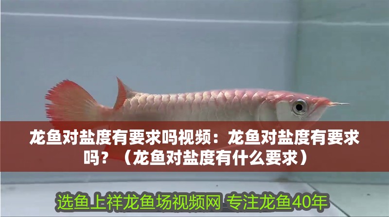 龍魚對鹽度有要求嗎視頻：龍魚對鹽度有要求嗎？（龍魚對鹽度有什么要求）