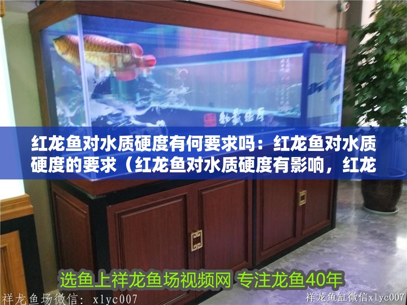 紅龍魚對水質(zhì)硬度有何要求嗎：紅龍魚對水質(zhì)硬度的要求（紅龍魚對水質(zhì)硬度有影響，紅龍魚對水質(zhì)硬度有影響嗎） 紅龍魚對水質(zhì)硬度有何要求嗎：紅龍魚對水質(zhì)硬度的要求（紅龍魚對水質(zhì)硬度有影響，紅龍魚對水質(zhì)硬度有影響嗎） 水族問答