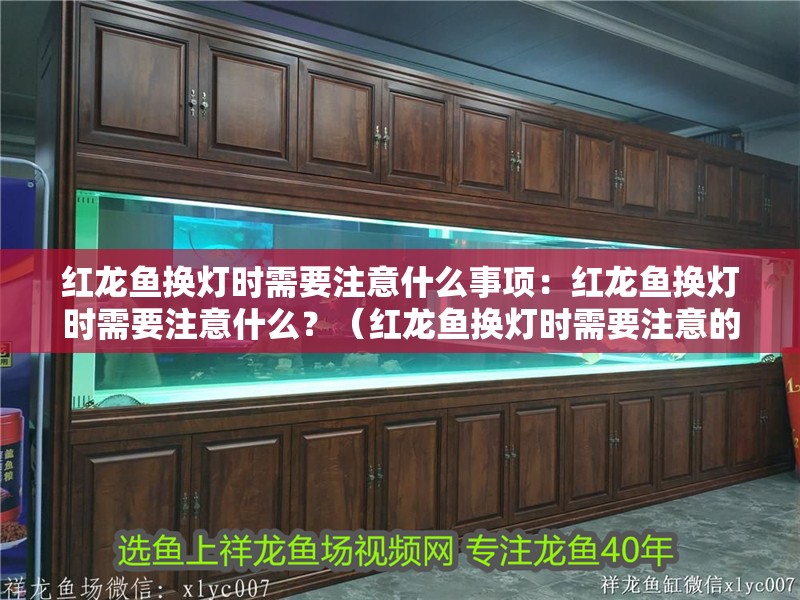 紅龍魚換燈時需要注意什么事項(xiàng)：紅龍魚換燈時需要注意什么？（紅龍魚換燈時需要注意的事項(xiàng)包括：在更換燈具時需要注意的事項(xiàng)）