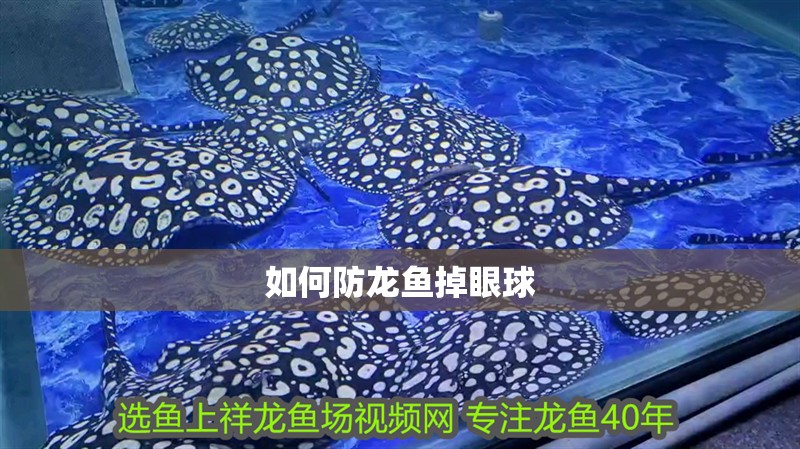 如何防龍魚掉眼球