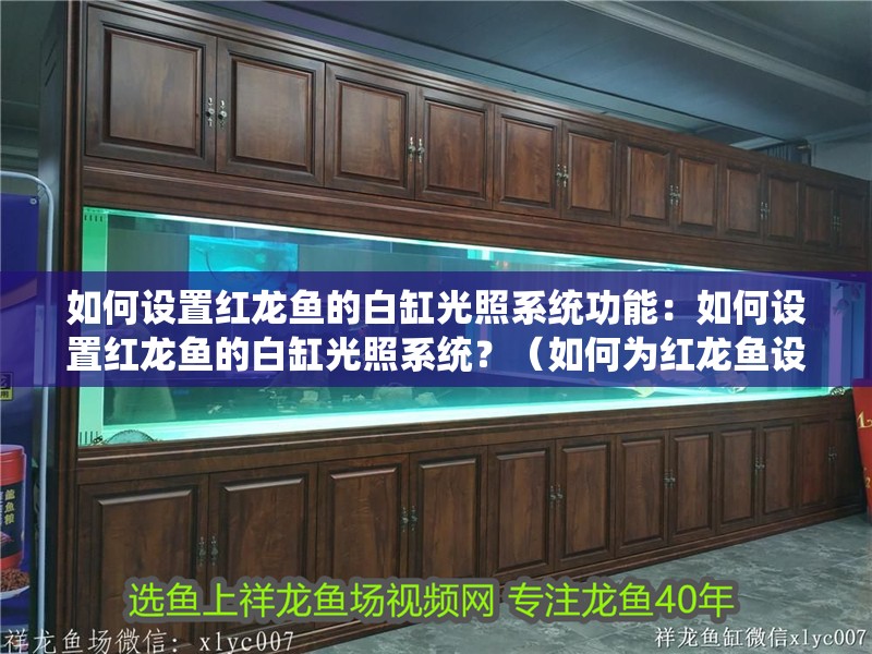 如何設(shè)置紅龍魚的白缸光照系統(tǒng)功能：如何設(shè)置紅龍魚的白缸光照系統(tǒng)？（如何為紅龍魚設(shè)置一個理想的白缸光照系統(tǒng)）