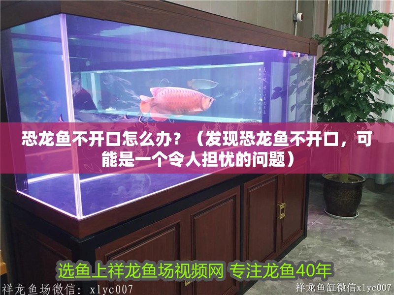 恐龍魚不開口怎么辦？（發現恐龍魚不開口，可能是一個令人擔憂的問題） 恐龍魚不開口怎么辦？（發現恐龍魚不開口，可能是一個令人擔憂的問題） 龍魚百科