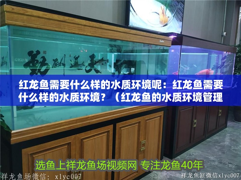 紅龍魚需要什么樣的水質環境呢：紅龍魚需要什么樣的水質環境？（紅龍魚的水質環境管理）