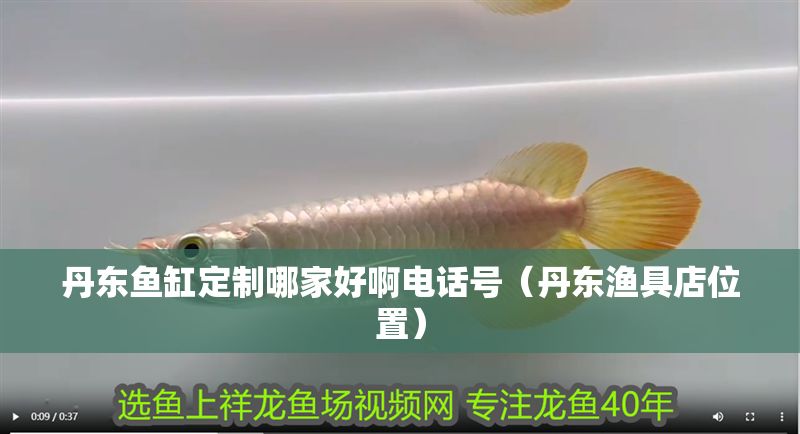 丹東魚缸定制哪家好啊電話號（丹東漁具店位置） 丹東魚缸定制哪家好啊電話號（丹東漁具店位置） 全國水族館企業(yè)名錄 第1張