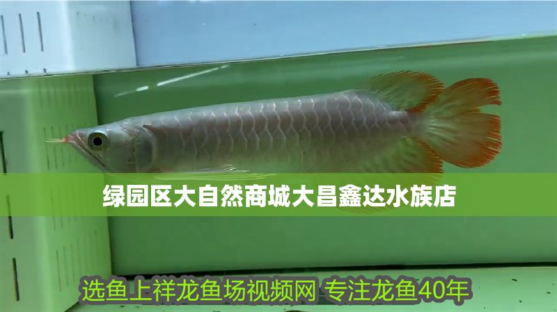 綠園區(qū)大自然商城大昌鑫達(dá)水族店