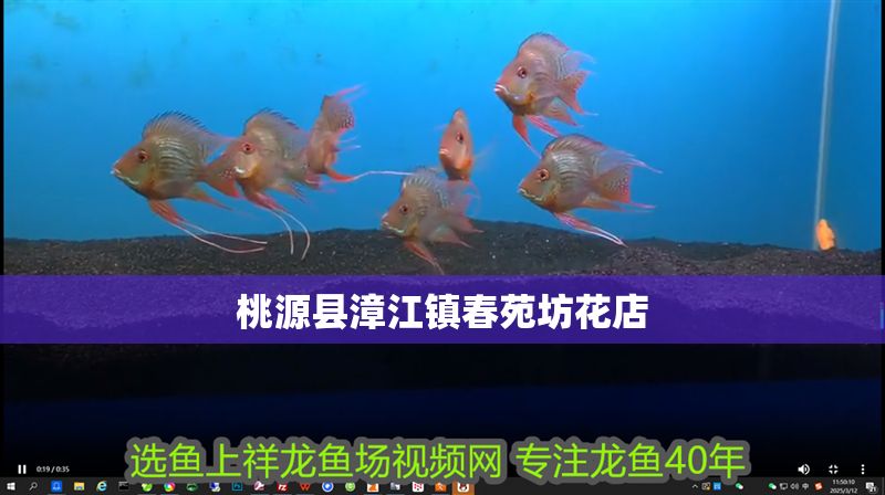 桃源縣漳江鎮春苑坊花店 桃源縣漳江鎮春苑坊花店 全國水族館企業名錄 第1張