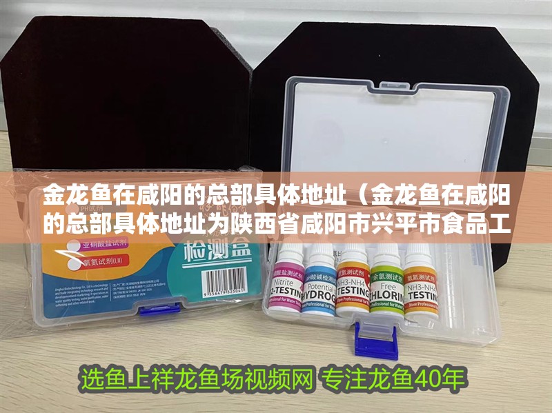 金龍魚在咸陽的總部具體地址（金龍魚在咸陽的總部具體地址為陜西省咸陽市興平市食品工業園）