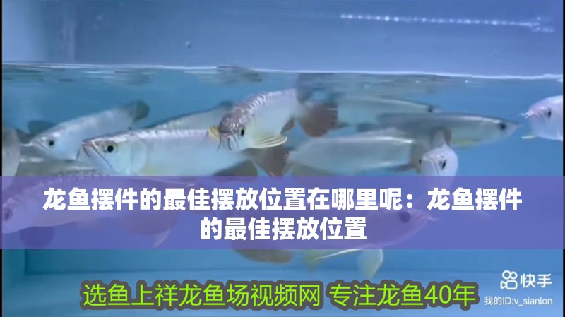 龍魚擺件的最佳擺放位置在哪里呢：龍魚擺件的最佳擺放位置